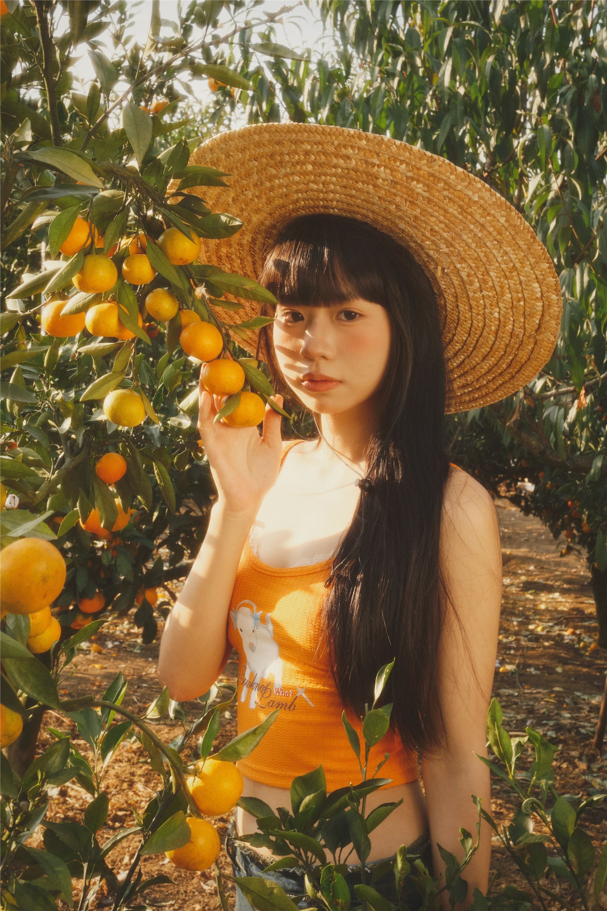 YITUYU艺图语 2025.01.26 橘子园 是三金呀